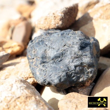 Sandgrube Frickenhausen II bei Ochsenfurt, Bayern, (D) - 18. Mai 2023 (11).JPG